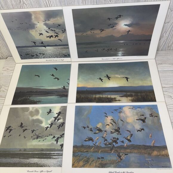 Peter Scott Waterfowl Laminated Placemats Lot Of 6 Vintage 1953 Ducks Geese - Picture 1 of 16